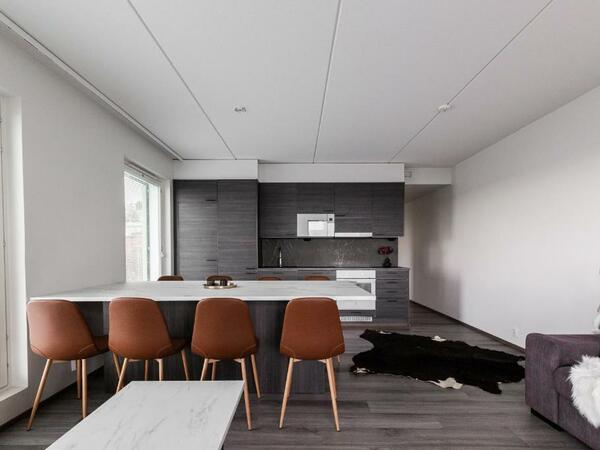 Penthouse Serena Tampere Kuva 6