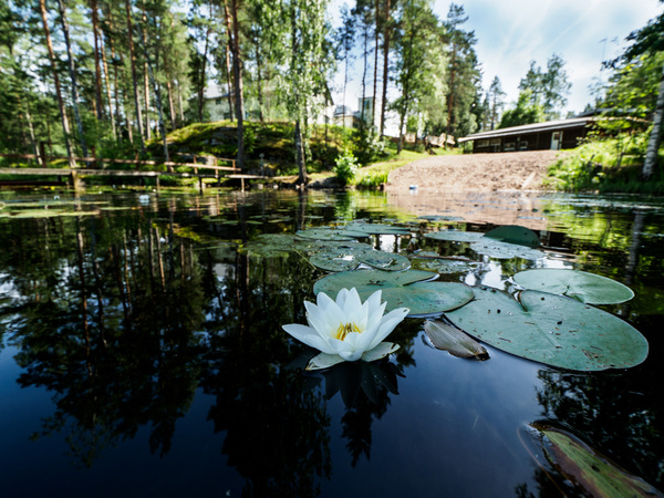 Polku Hotel Rantasauna Kuva 8