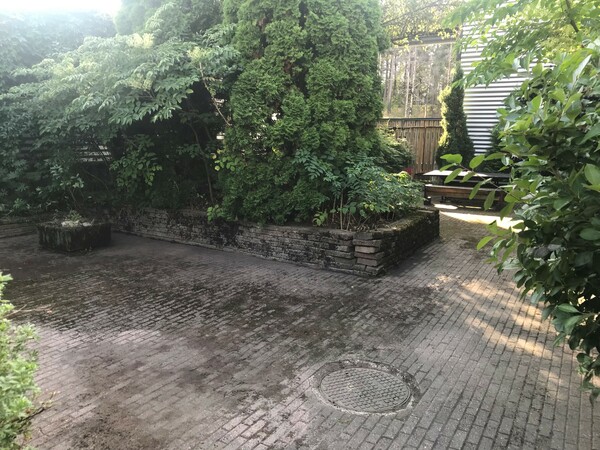 Sauna ja Juhlatila Garden Kuva 7