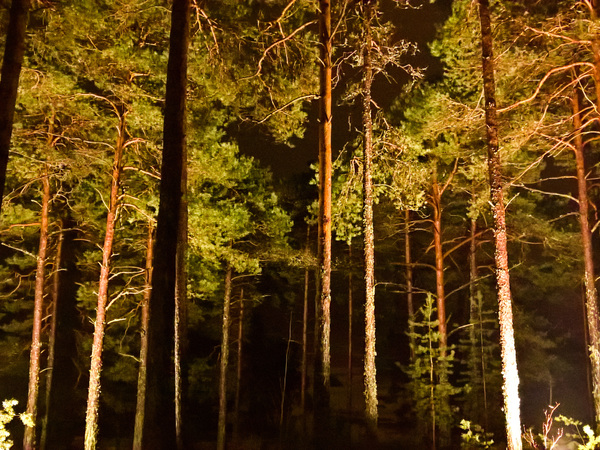 Itärannan Sauna Kuva 5